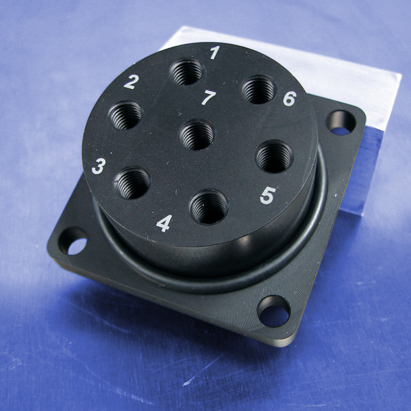 Pushin x Pushin Connections (7Station Bulkhead) Pneumadyne